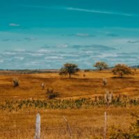 El Niño já impacta agricultura, inflação e energia na Paraíba