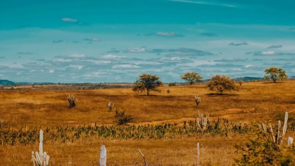 El Niño na Paraíba: saiba como a comunidade pode se preparar e cobrar ações