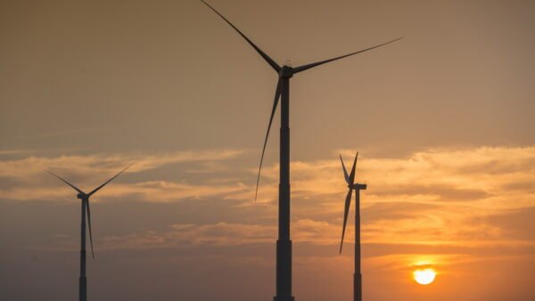 Paraíba aposta em bioenergia no protocolo de transição energética