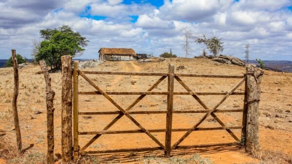 Alerta de clima seco na PB: guia prático de cuidados e canais oficiais
